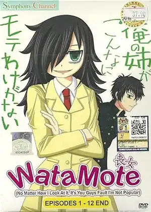 watashi ga motenai no wa